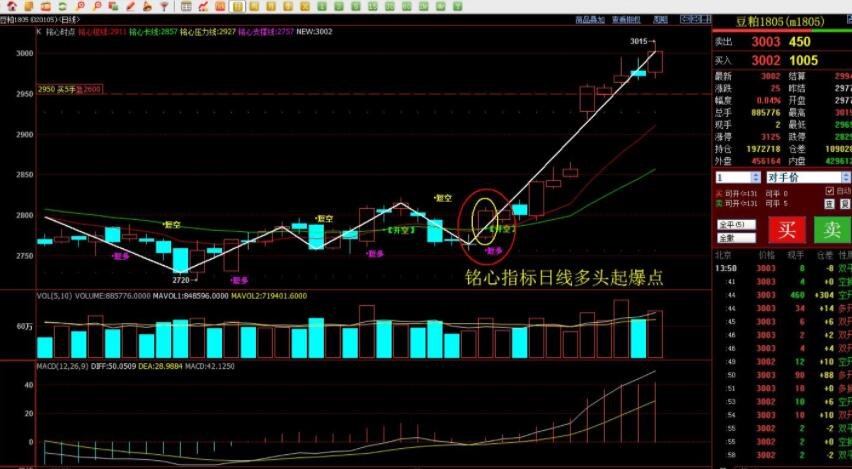 “点亮童心”公益助学关爱孤独症儿童